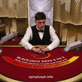 Speed VIP Blackjack C Game Interface